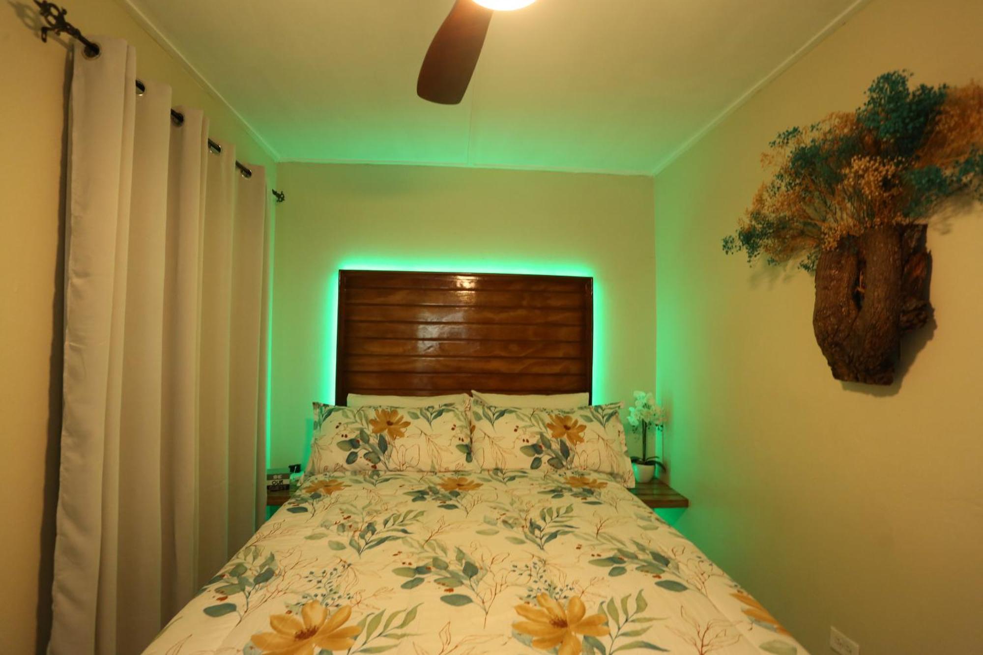 Appartamento Hidden Gem Kingston Esterno foto