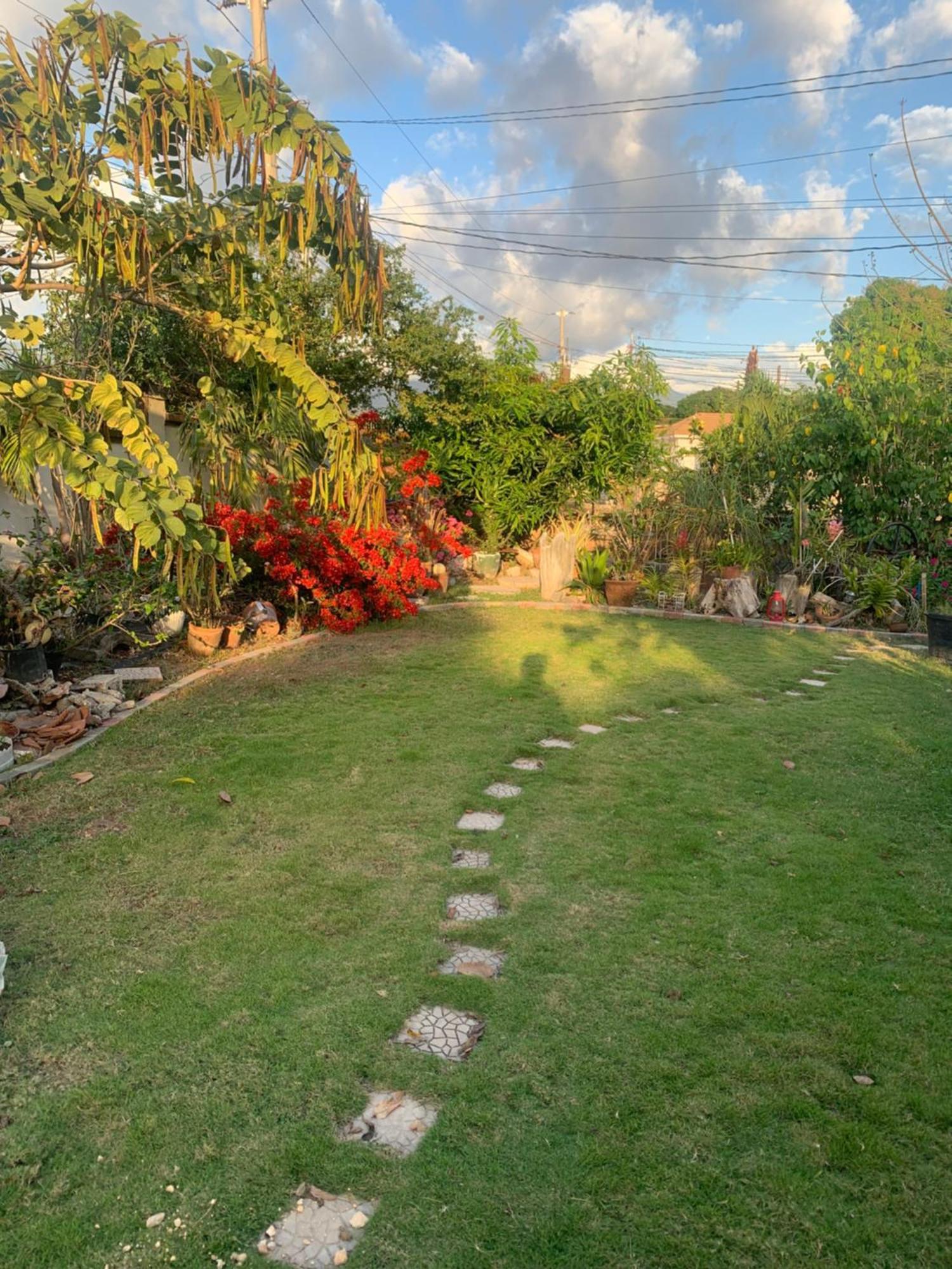 Appartamento Hidden Gem Kingston Esterno foto